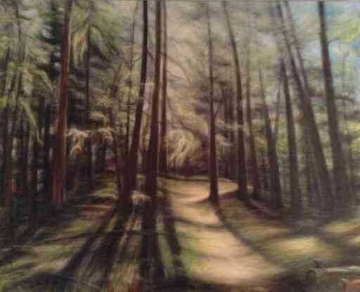 Forest Path Dusk